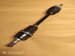 پولوس کامل هافی لوبو سمت راست شاگرد