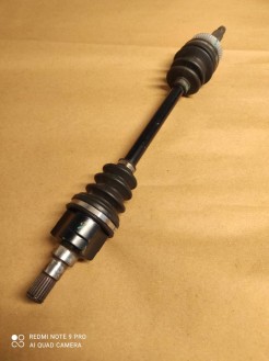 پولوس کامل هافی لوبو سمت راست شاگرد