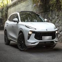 طلق خطر گلگیر لاماری